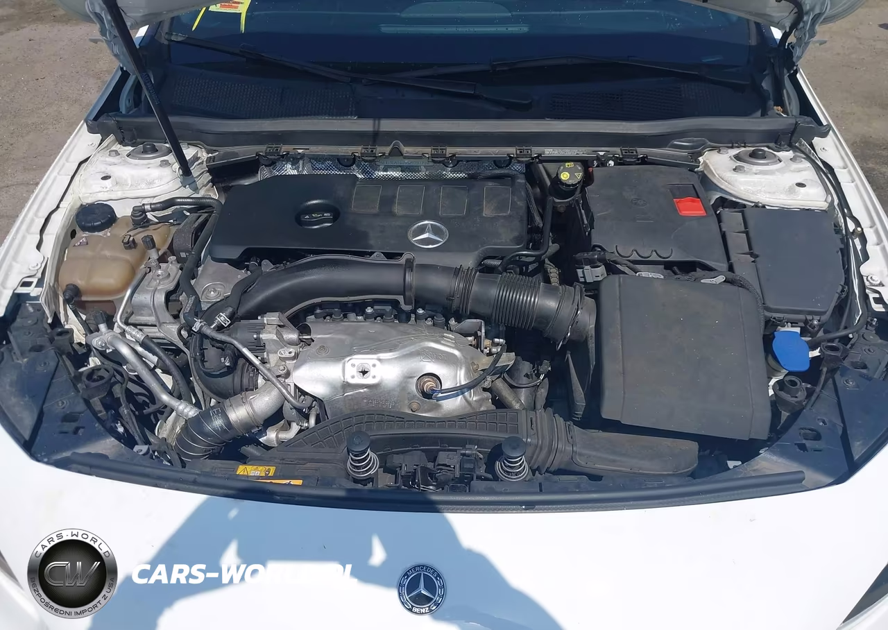 2019 Mercedes-Benz A 220 VIN:WDD3G4EB7KW029172 - 10