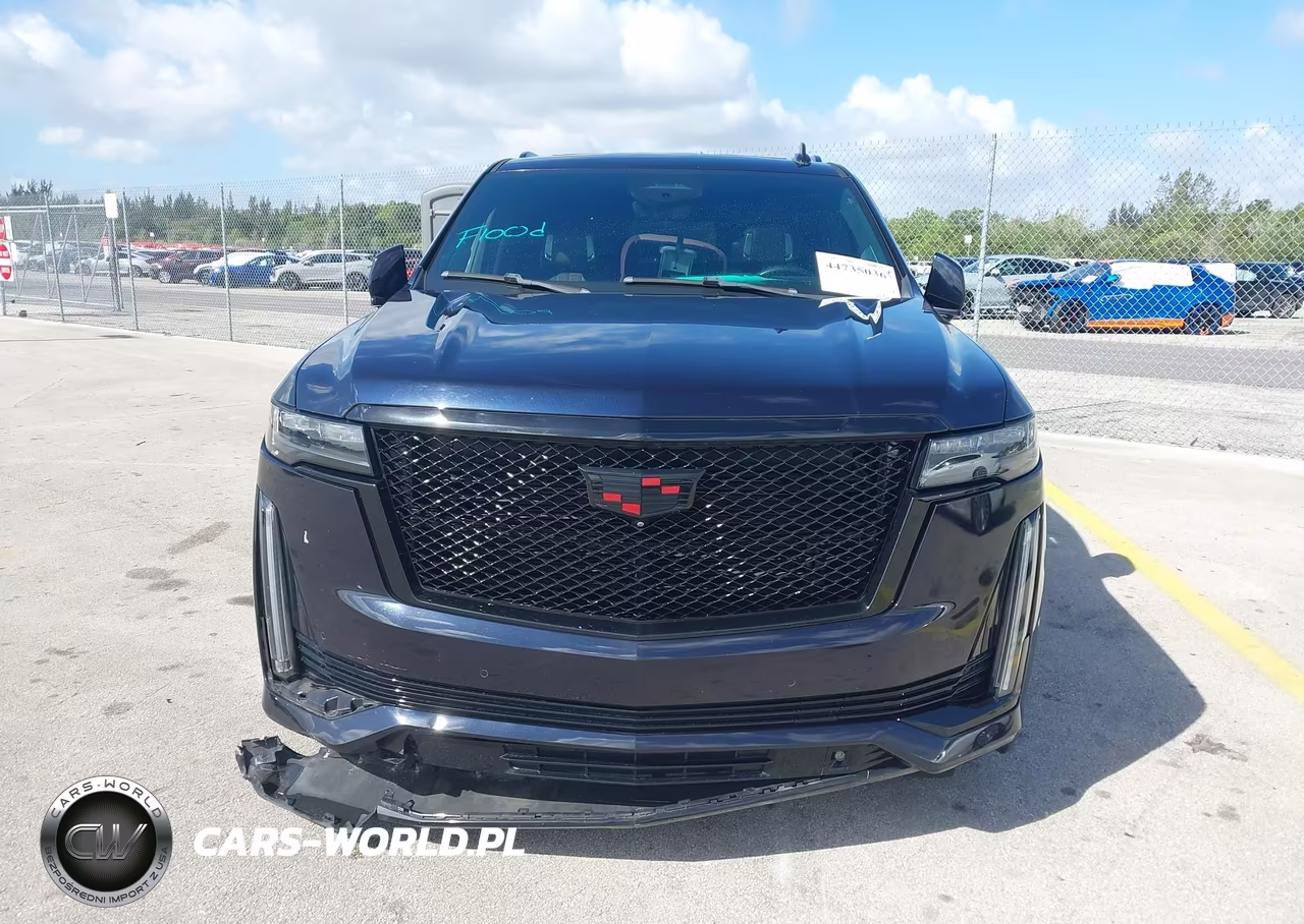 2022 Cadillac Escalade 4Wd Sport Platinum VIN:1GYS4GKL1NR225862 - 12