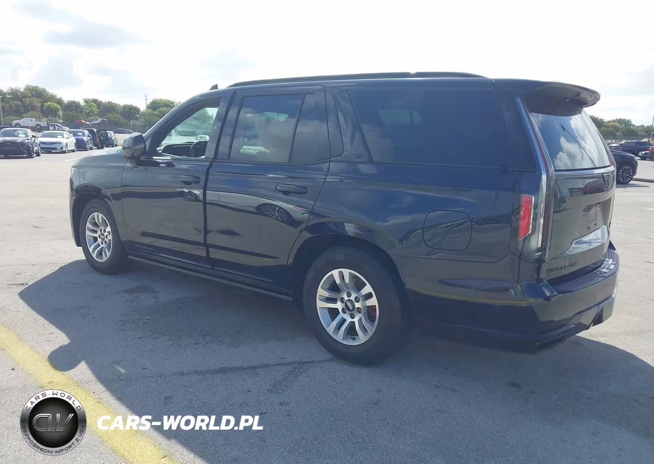 2022 Cadillac Escalade 4Wd Sport Platinum VIN:1GYS4GKL1NR225862 - 3