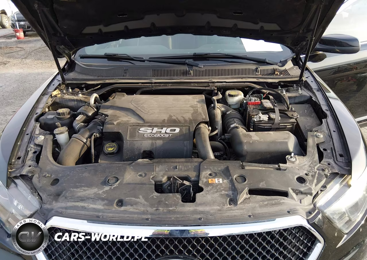 2017 Ford Taurus Sho VIN:1FAHP2KT0HG140043 - 10