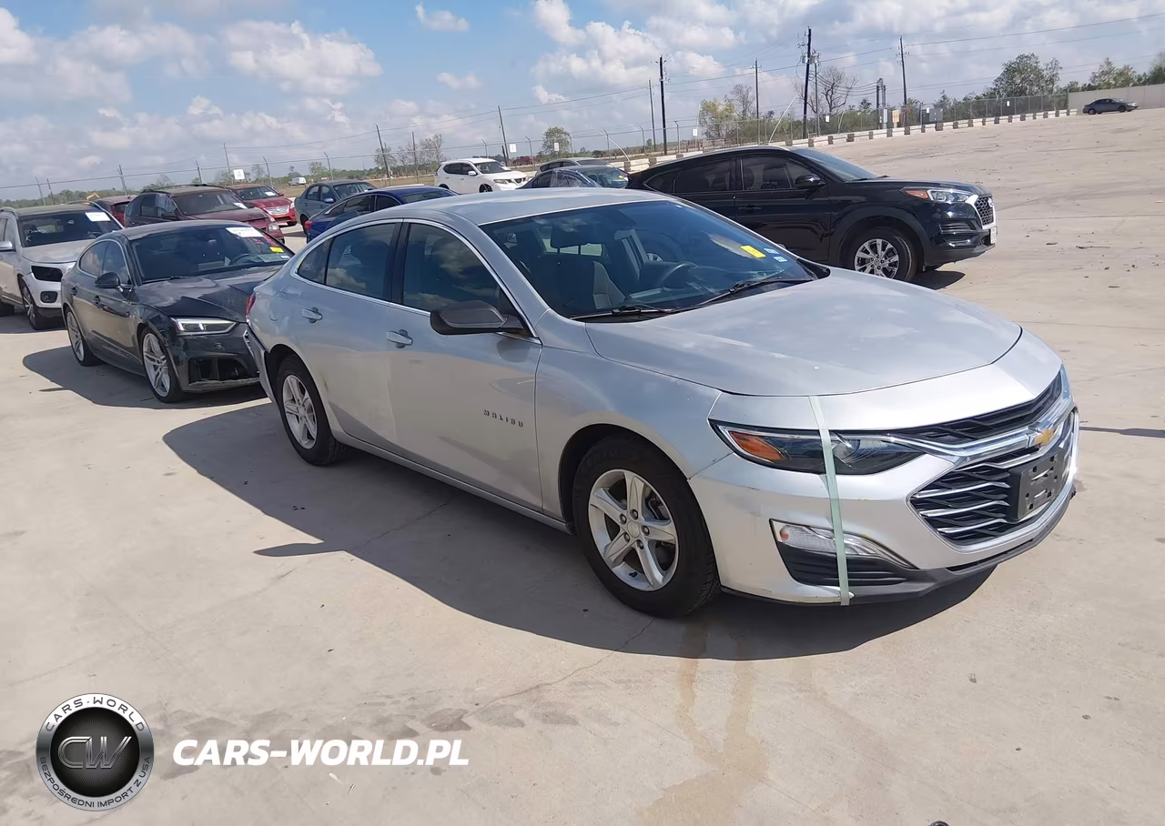 2019 Chevrolet Malibu 1Ls