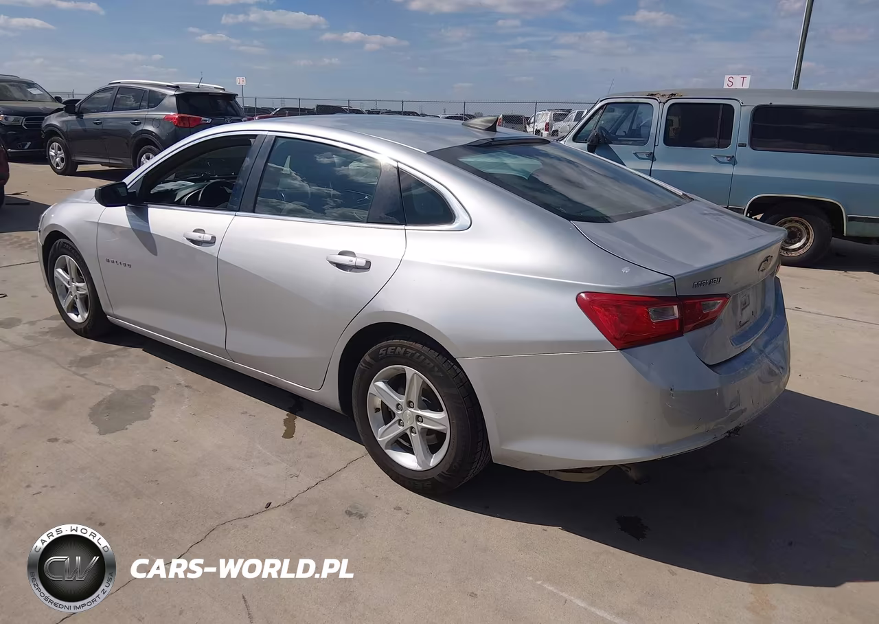 2019 Chevrolet Malibu 1Ls VIN:1G1ZB5ST5KF213024 - 3