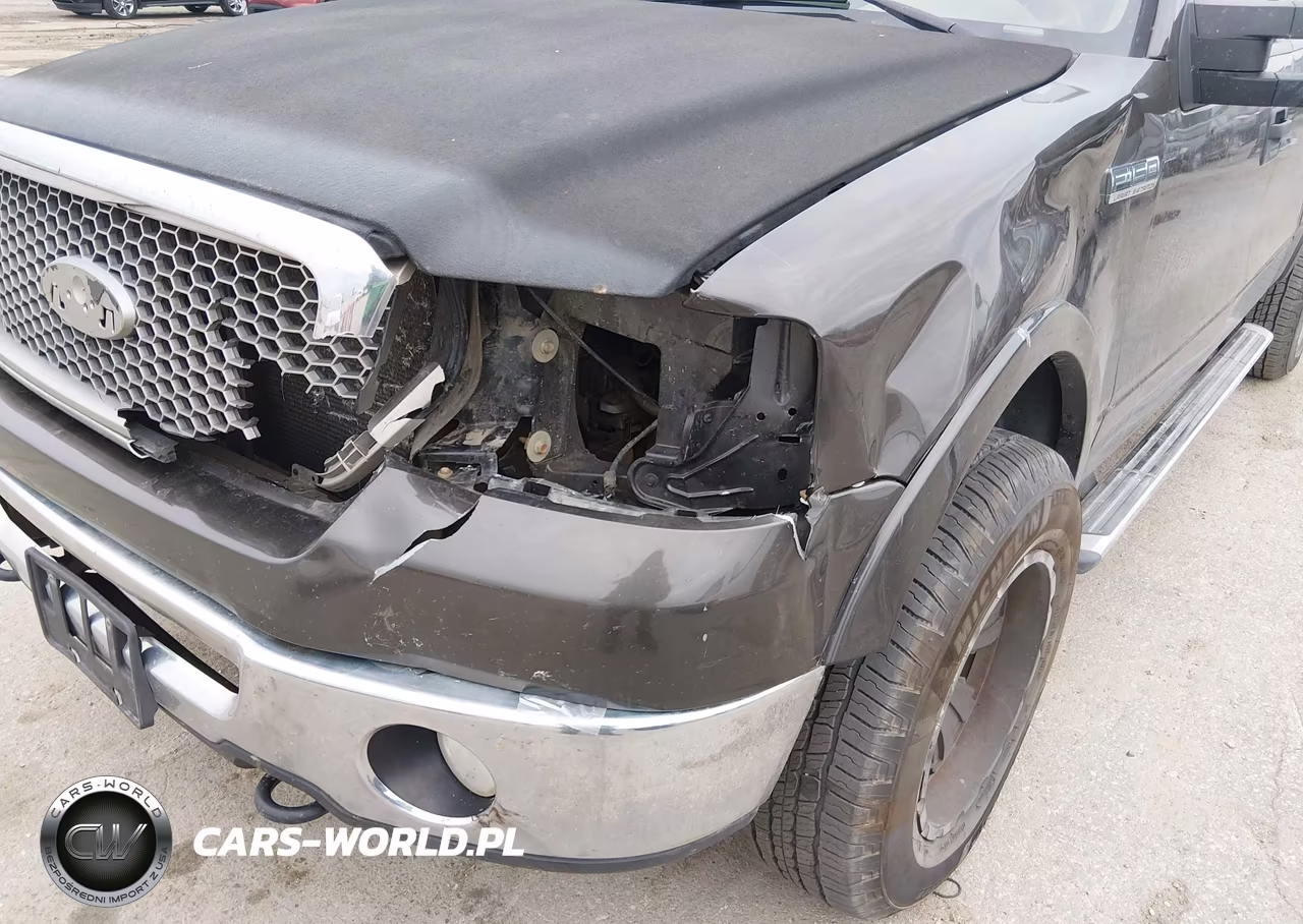 2006 Ford F-150 Fx4-Lariat-Xlt VIN:1FTPW14V56KD29069 - 6
