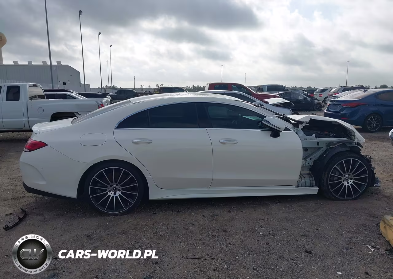 2019 Mercedes-Benz Cls 450 VIN:WDD2J5JB2KA040876 - 14
