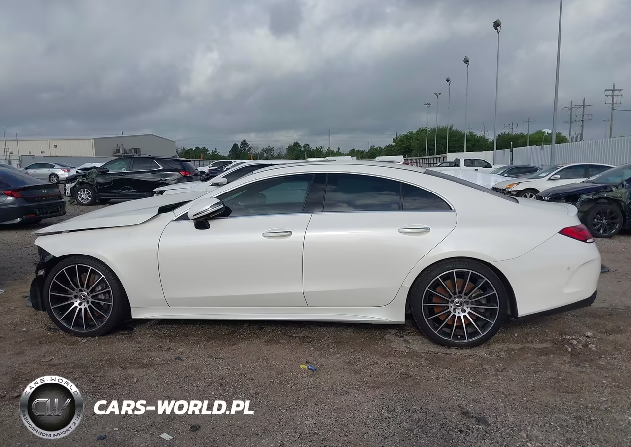 2019 Mercedes-Benz Cls 450 VIN:WDD2J5JB2KA040876 - 15