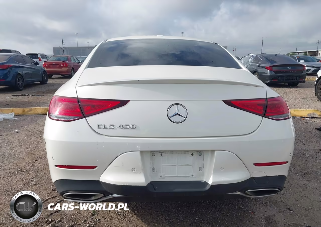 2019 Mercedes-Benz Cls 450 VIN:WDD2J5JB2KA040876 - 17