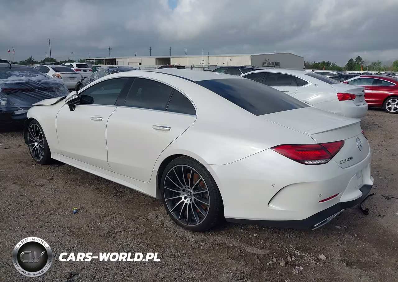2019 Mercedes-Benz Cls 450 VIN:WDD2J5JB2KA040876 - 3