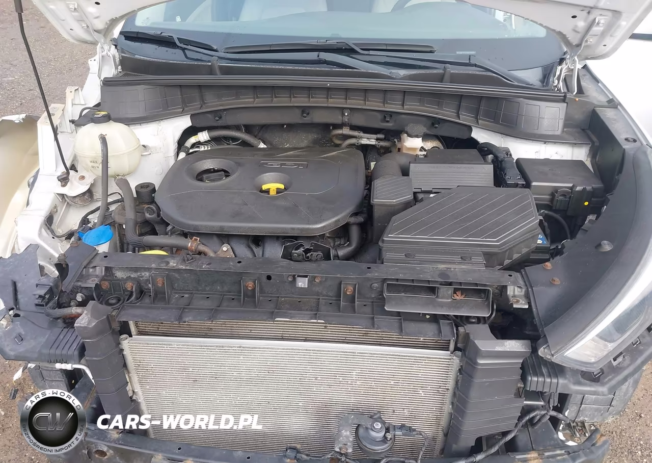 2017 Hyundai Tucson Se VIN:KM8J3CA46HU439945 - 10