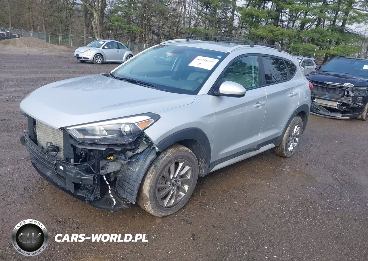 2017 Hyundai Tucson Se VIN:KM8J3CA46HU439945 - 2