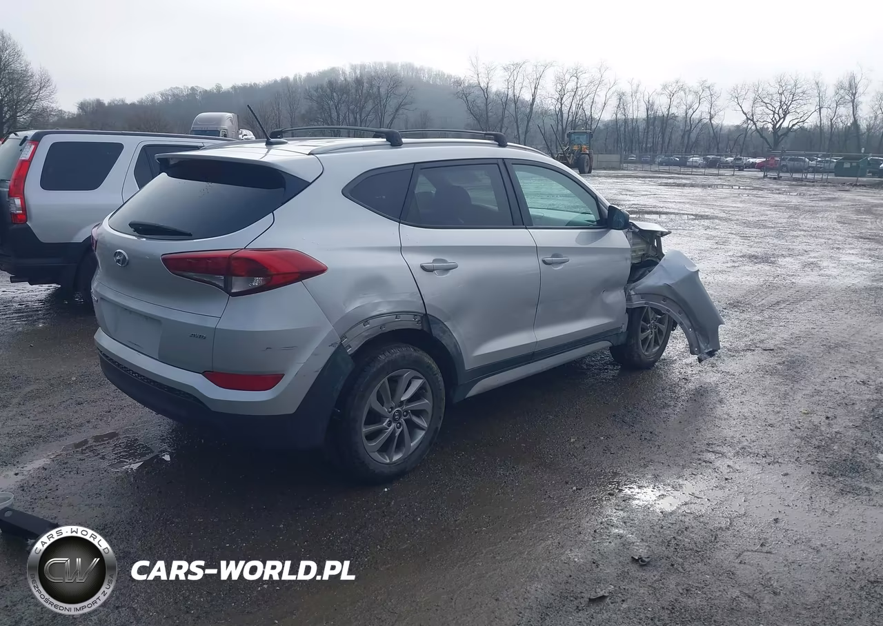 2017 Hyundai Tucson Se VIN:KM8J3CA46HU439945 - 4