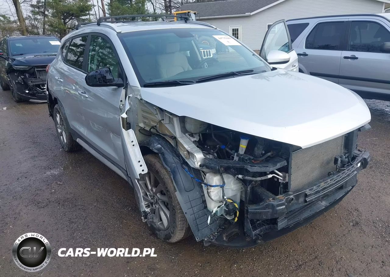 2017 Hyundai Tucson Se VIN:KM8J3CA46HU439945 - 6