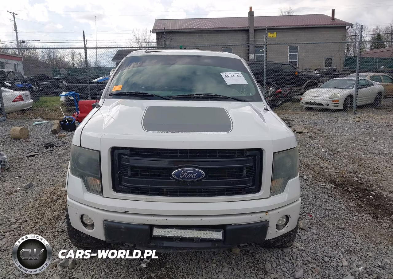 2013 Ford F-150 Fx4 VIN:1FTFX1EF6DFD99606 - 12
