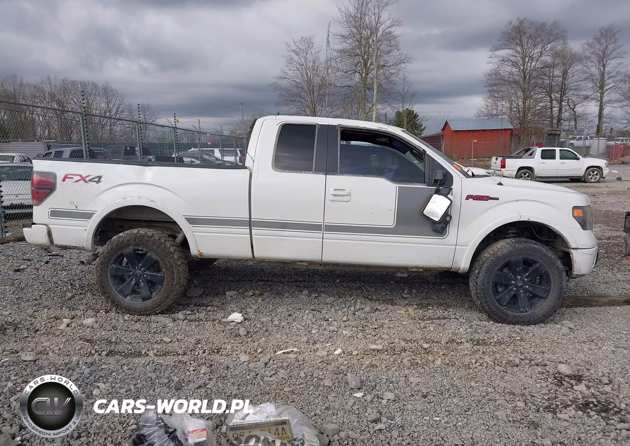 2013 Ford F-150 Fx4 VIN:1FTFX1EF6DFD99606 - 13