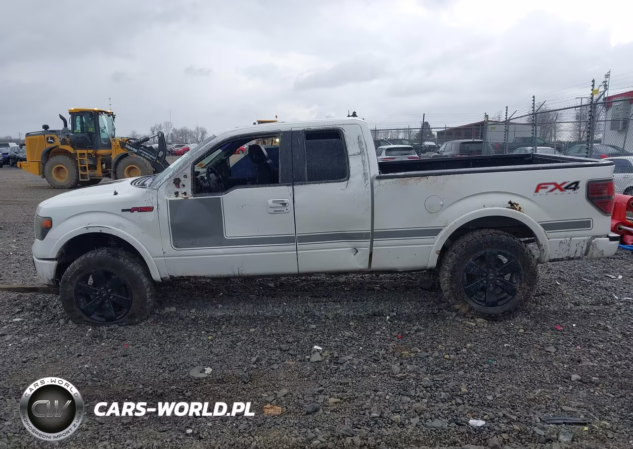 2013 Ford F-150 Fx4 VIN:1FTFX1EF6DFD99606 - 14