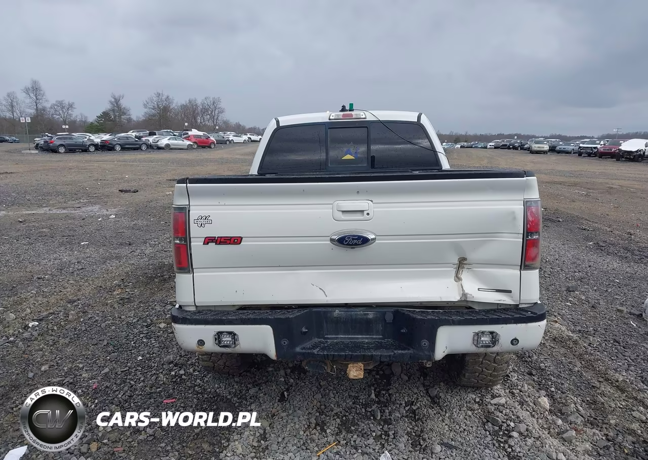 2013 Ford F-150 Fx4 VIN:1FTFX1EF6DFD99606 - 16
