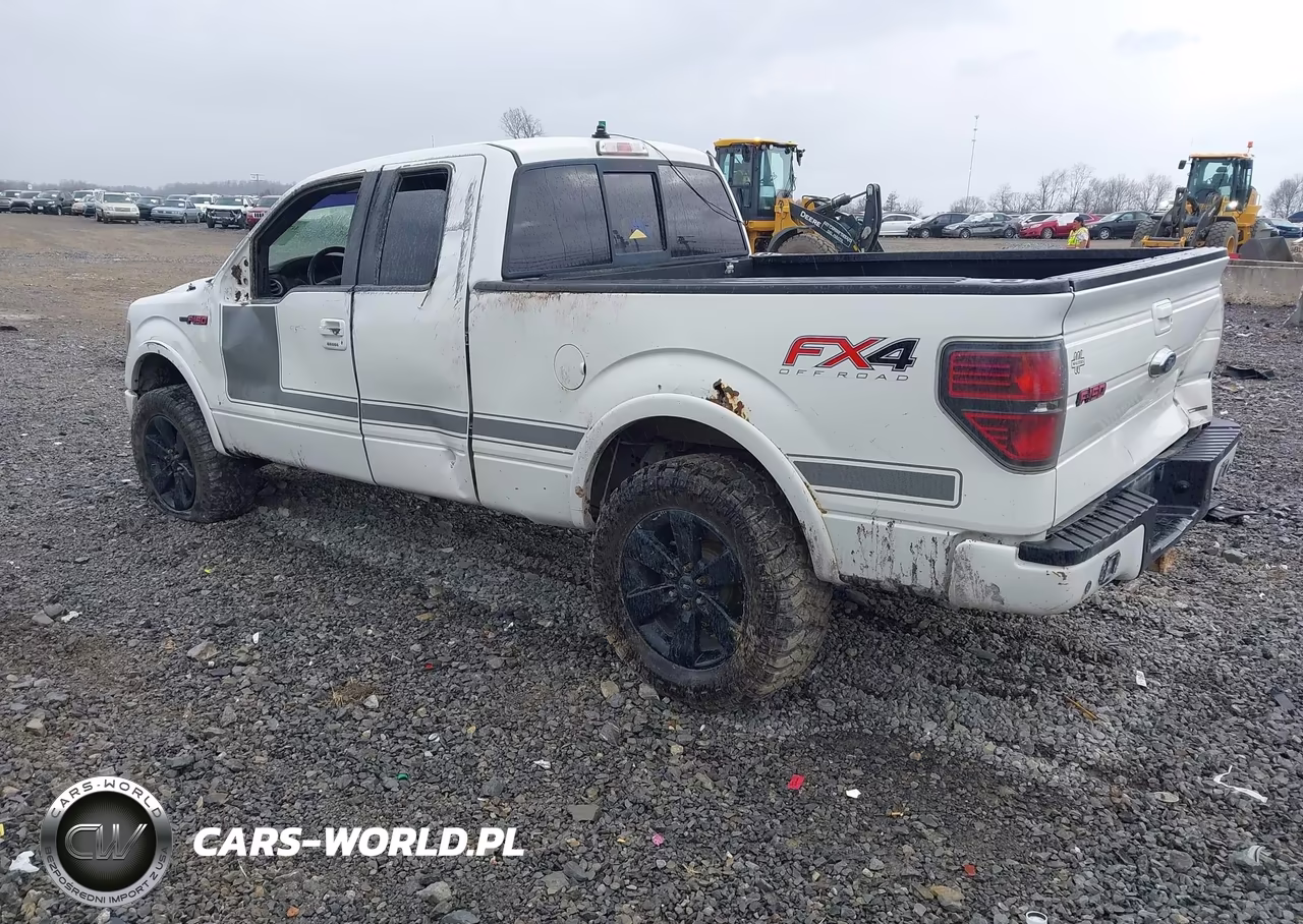 2013 Ford F-150 Fx4 VIN:1FTFX1EF6DFD99606 - 3