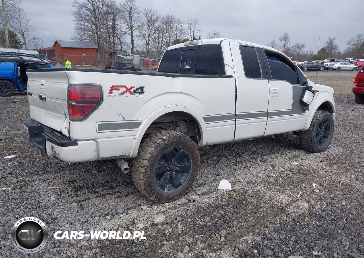 2013 Ford F-150 Fx4 VIN:1FTFX1EF6DFD99606 - 4