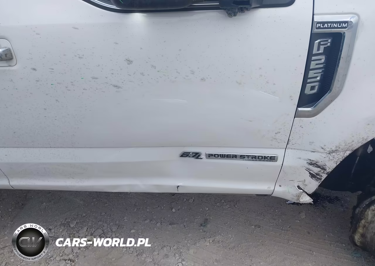 2019 Ford F-250 Platinum VIN:1FT7W2BT5KEF64667 - 20