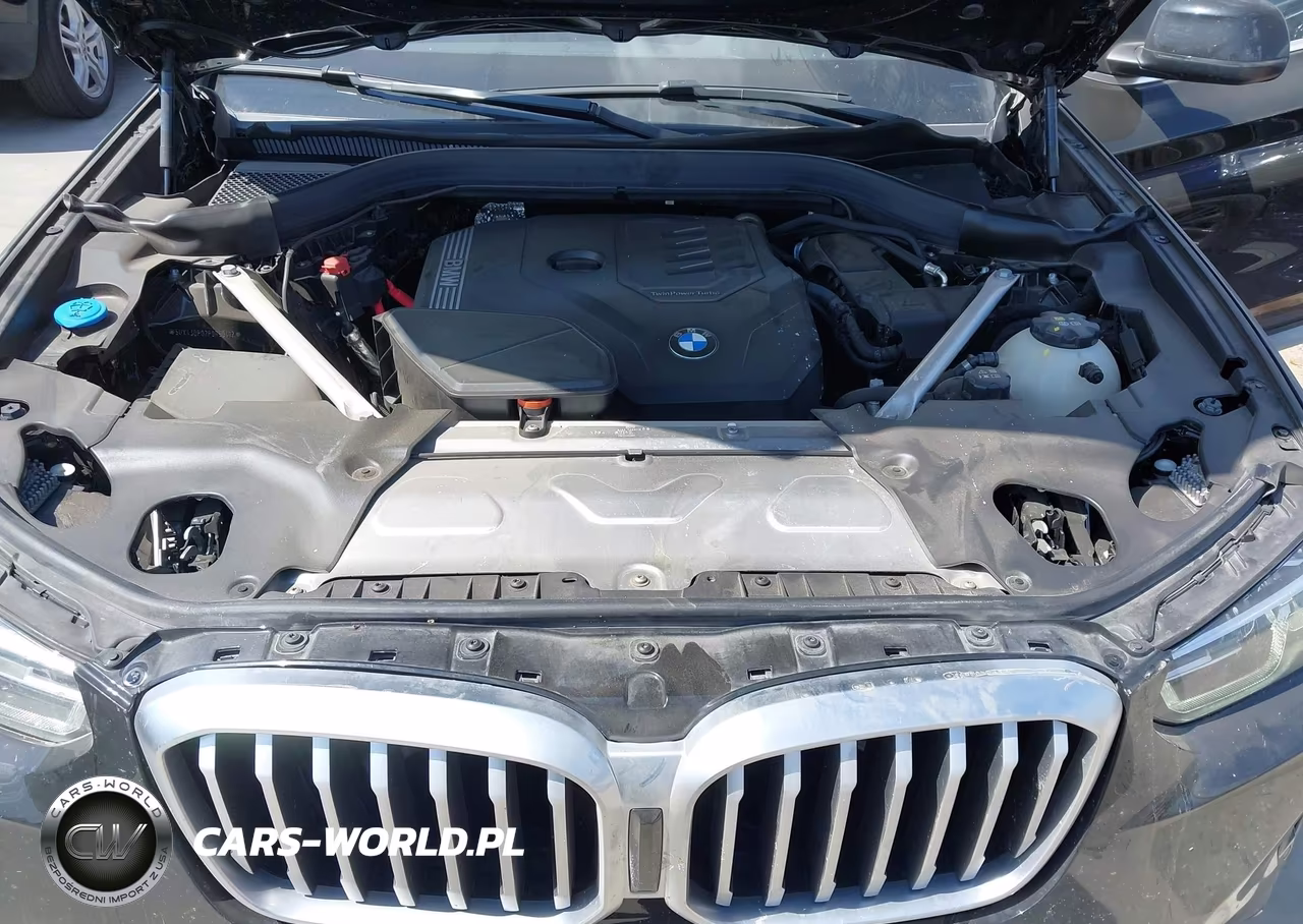 2023 BMW X3 Sdrive30I VIN:5UX43DP02P9R59412 - 10