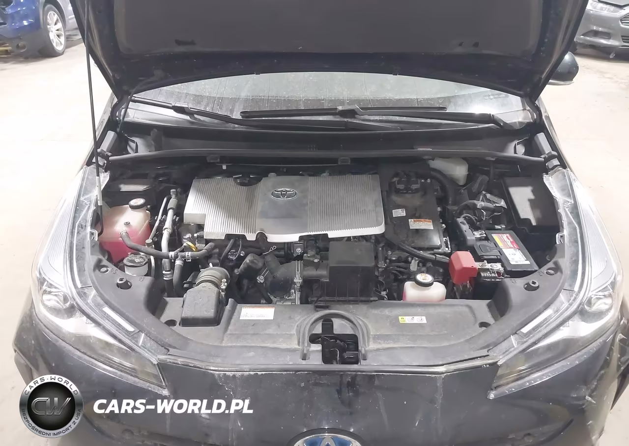 2019 Toyota Prius Le VIN:JTDKARFU5K3076819 - 10