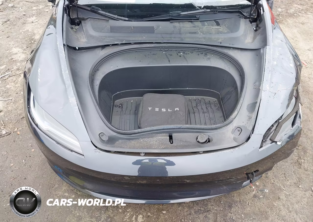 2025 Tesla Model 3 Long Range All-Wheel Drive VIN:5YJ3E1EB5SF897979 - 10