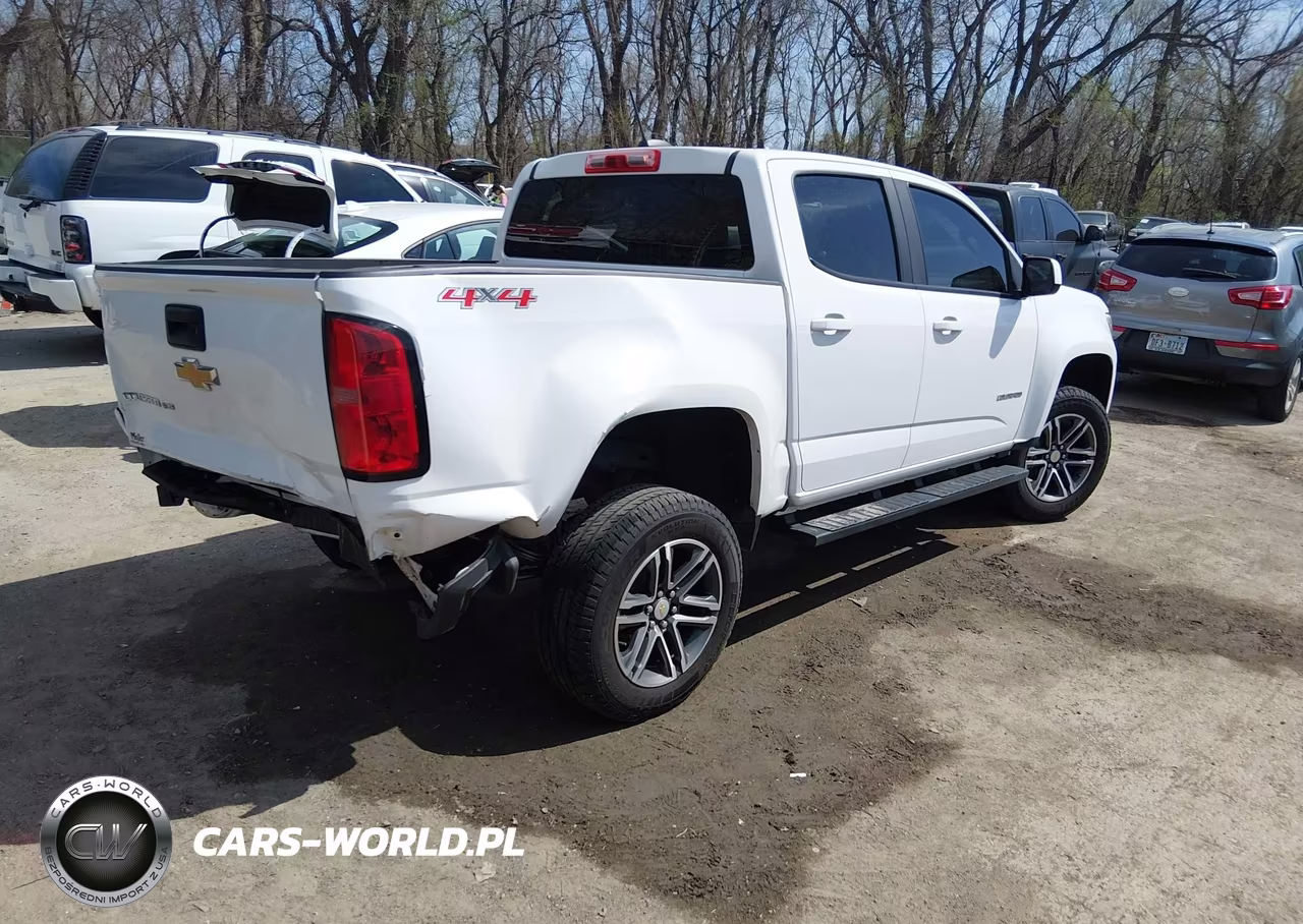 2020 Chevrolet Colorado 4Wd Short Box Wt VIN:1GCGTBEN3L1105345 - 4