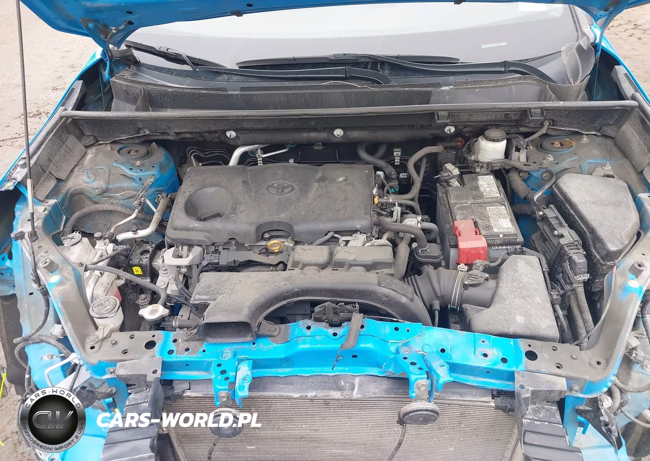 2019 Toyota Rav4 Le VIN:2T3F1RFV8KC057397 - 10