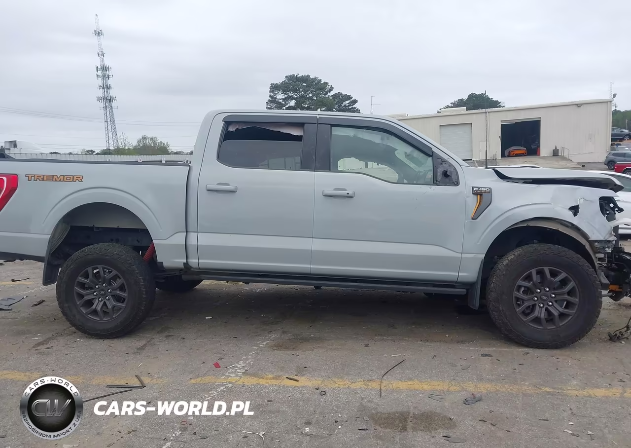 2023 Ford F-150 Tremor VIN:1FTEW1E85PFA87801 - 12