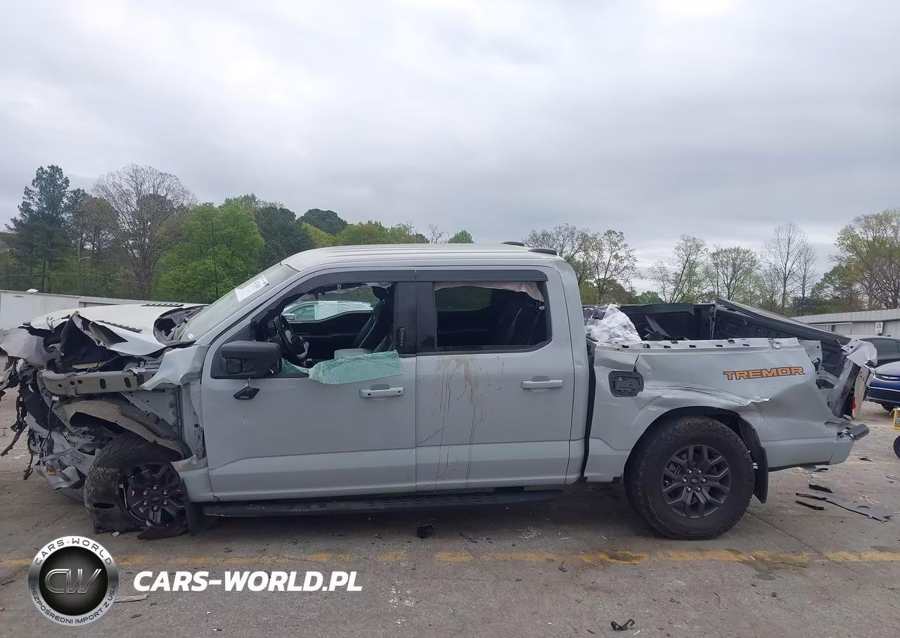 2023 Ford F-150 Tremor VIN:1FTEW1E85PFA87801 - 13