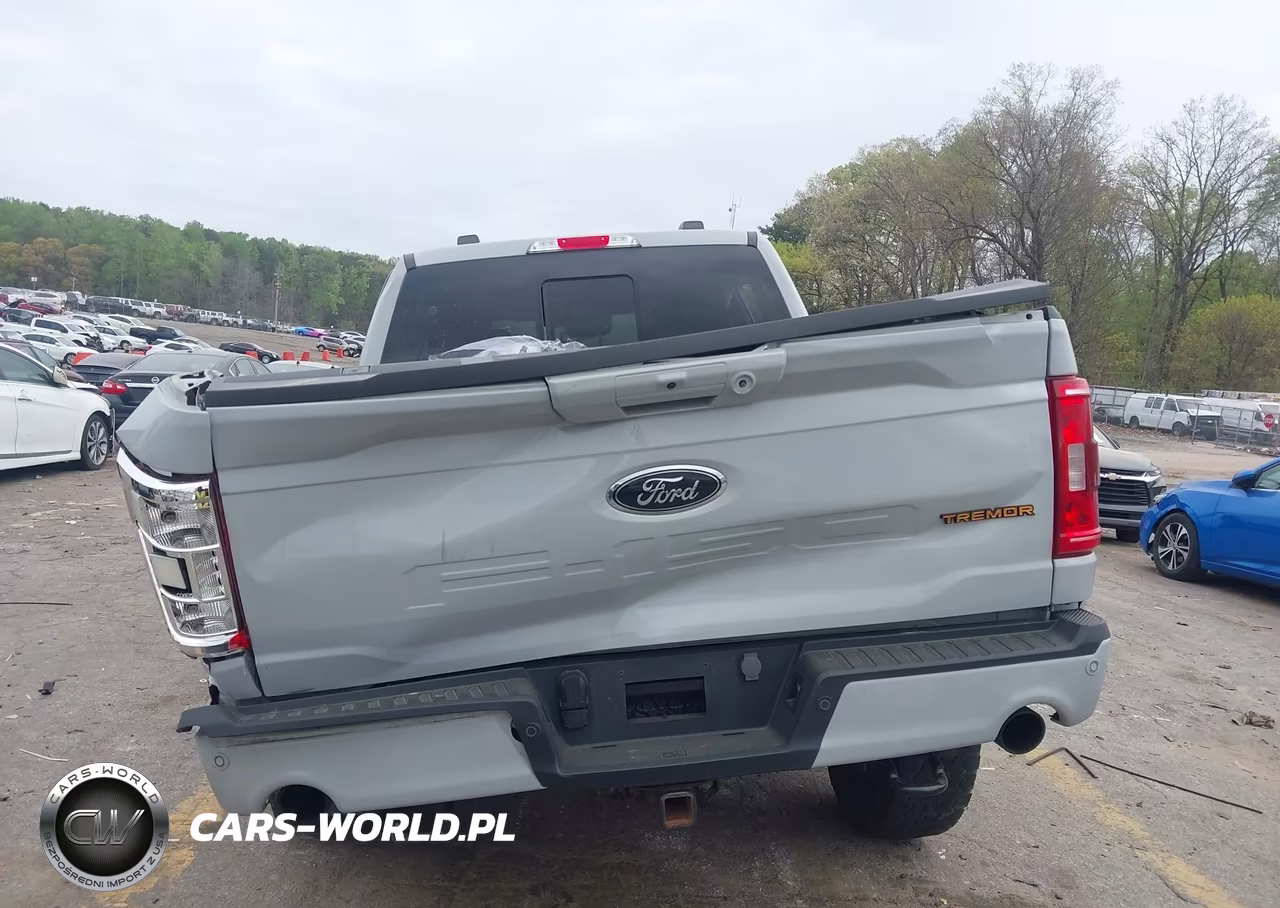 2023 Ford F-150 Tremor VIN:1FTEW1E85PFA87801 - 15