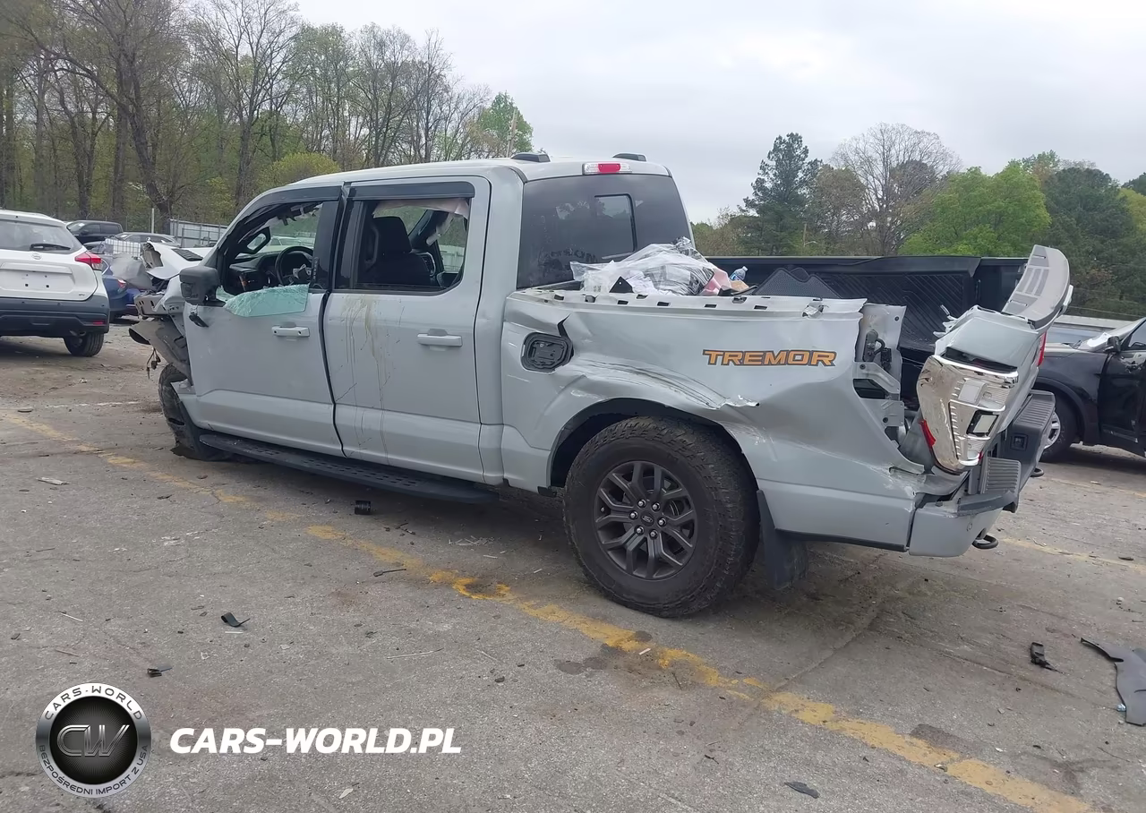 2023 Ford F-150 Tremor VIN:1FTEW1E85PFA87801 - 3