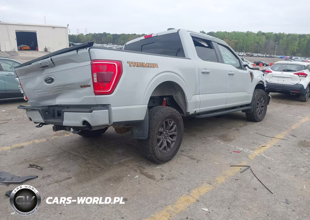 2023 Ford F-150 Tremor VIN:1FTEW1E85PFA87801 - 4
