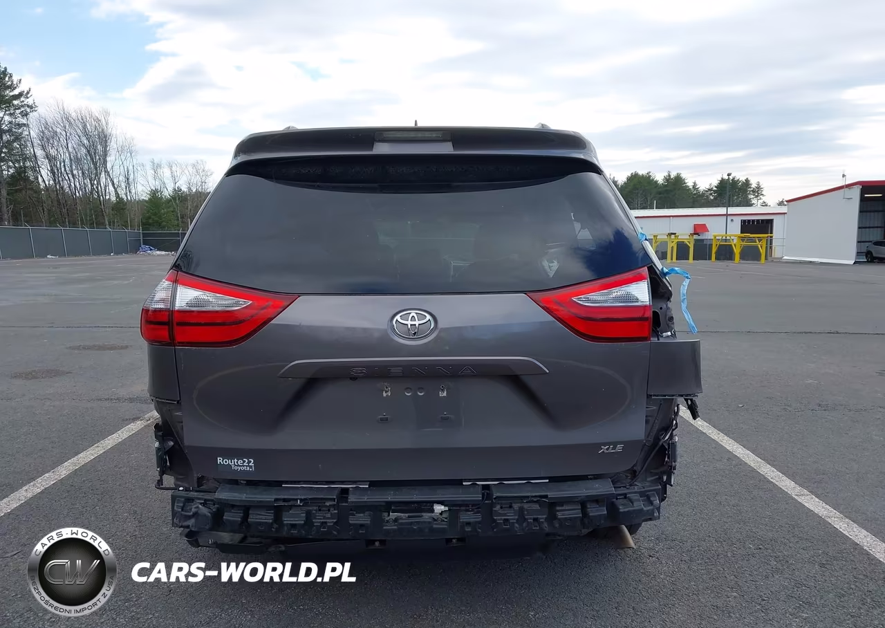 2020 Toyota Sienna Xle VIN:5TDYZ3DC7LS059529 - 16