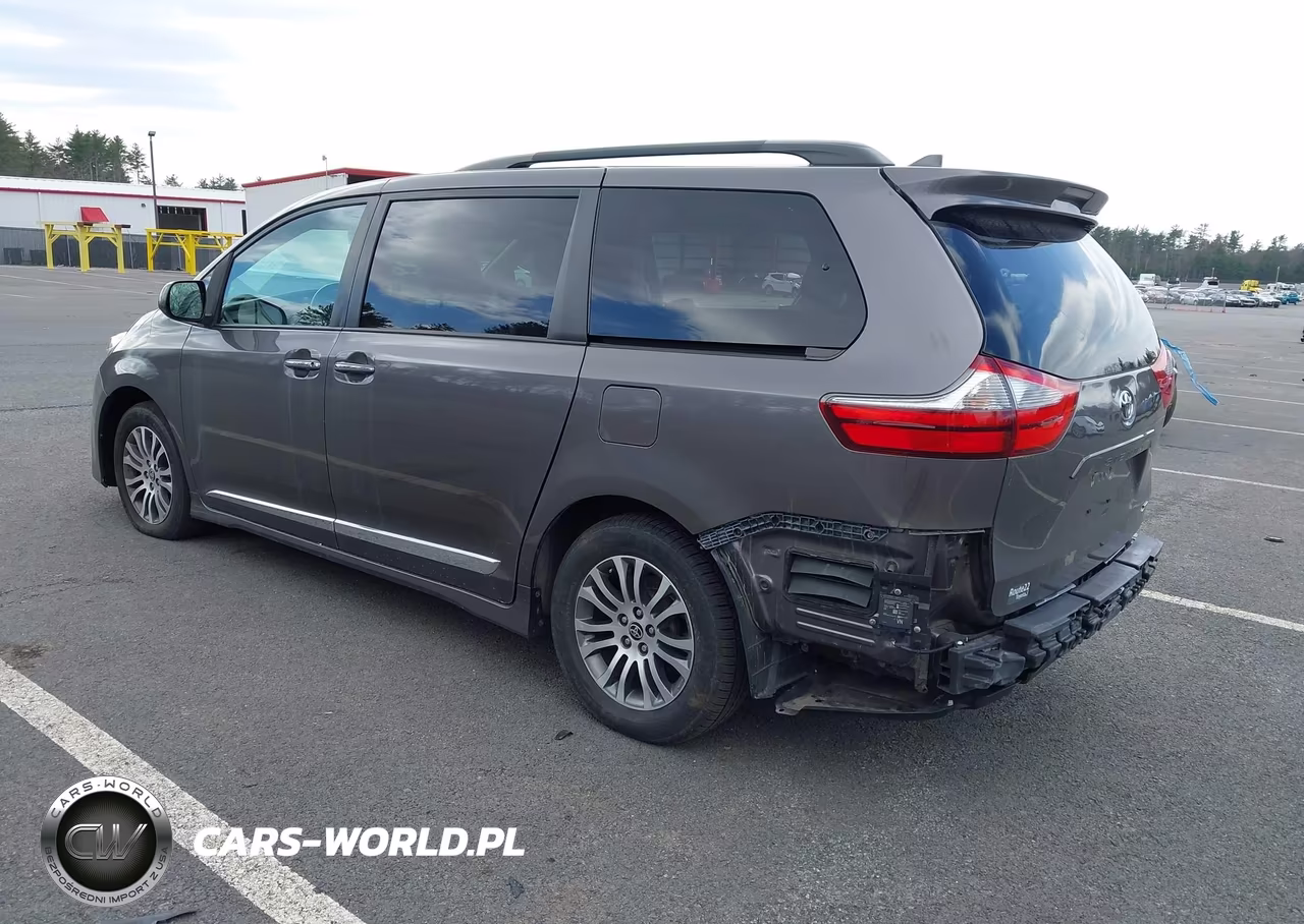 2020 Toyota Sienna Xle VIN:5TDYZ3DC7LS059529 - 3