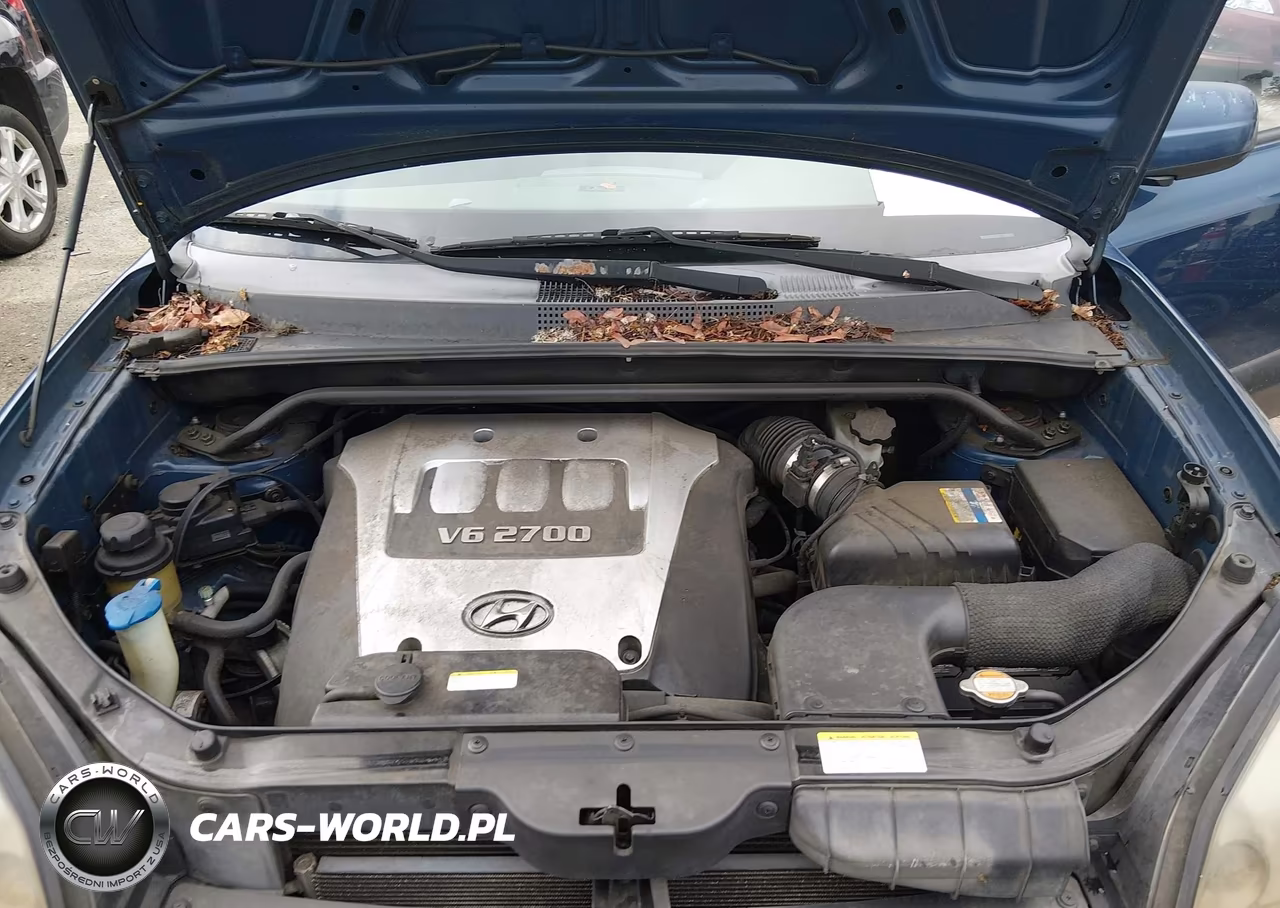 2006 Hyundai Tucson Gls-Limited VIN:KM8JN72D96U384971 - 10