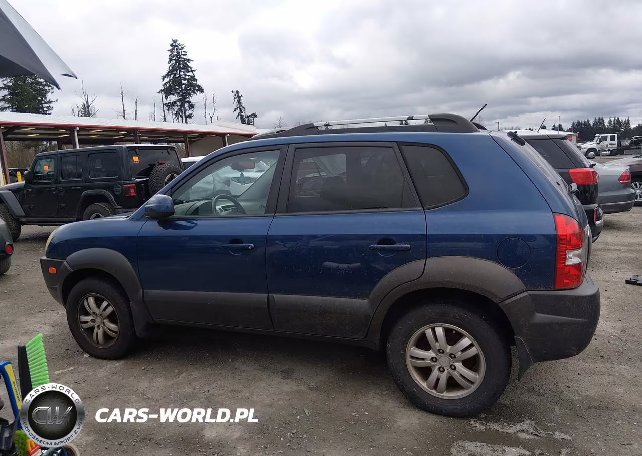 2006 Hyundai Tucson Gls-Limited VIN:KM8JN72D96U384971 - 6