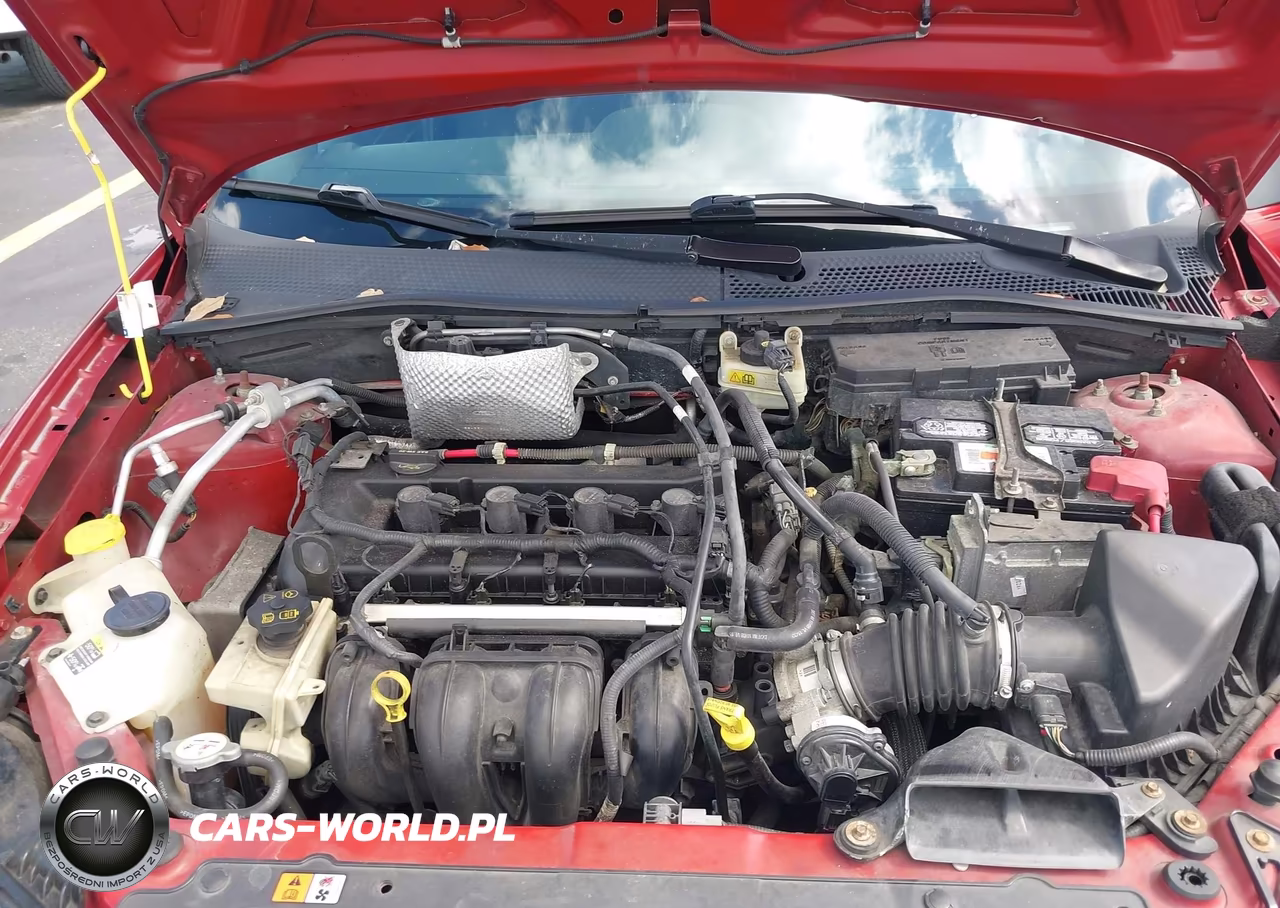2009 Ford Focus Ses VIN:1FAHP36N49W270237 - 10