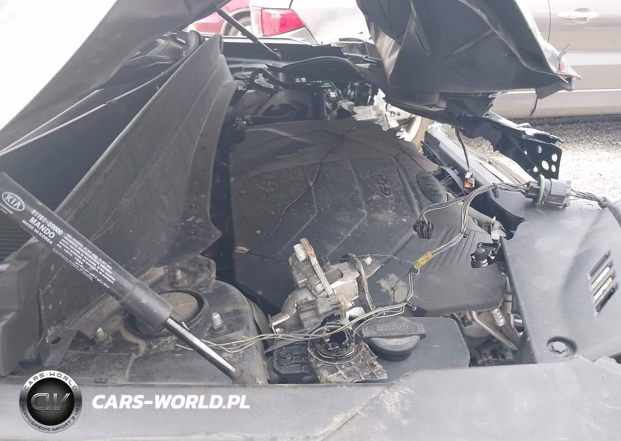 2020 Kia Telluride Lx VIN:5XYP24HCXLG068836 - 10
