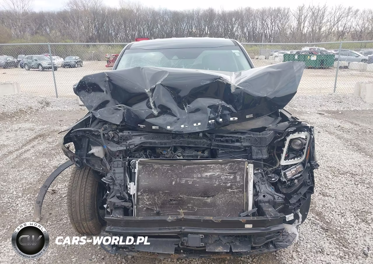 2020 Kia Telluride Lx VIN:5XYP24HCXLG068836 - 12