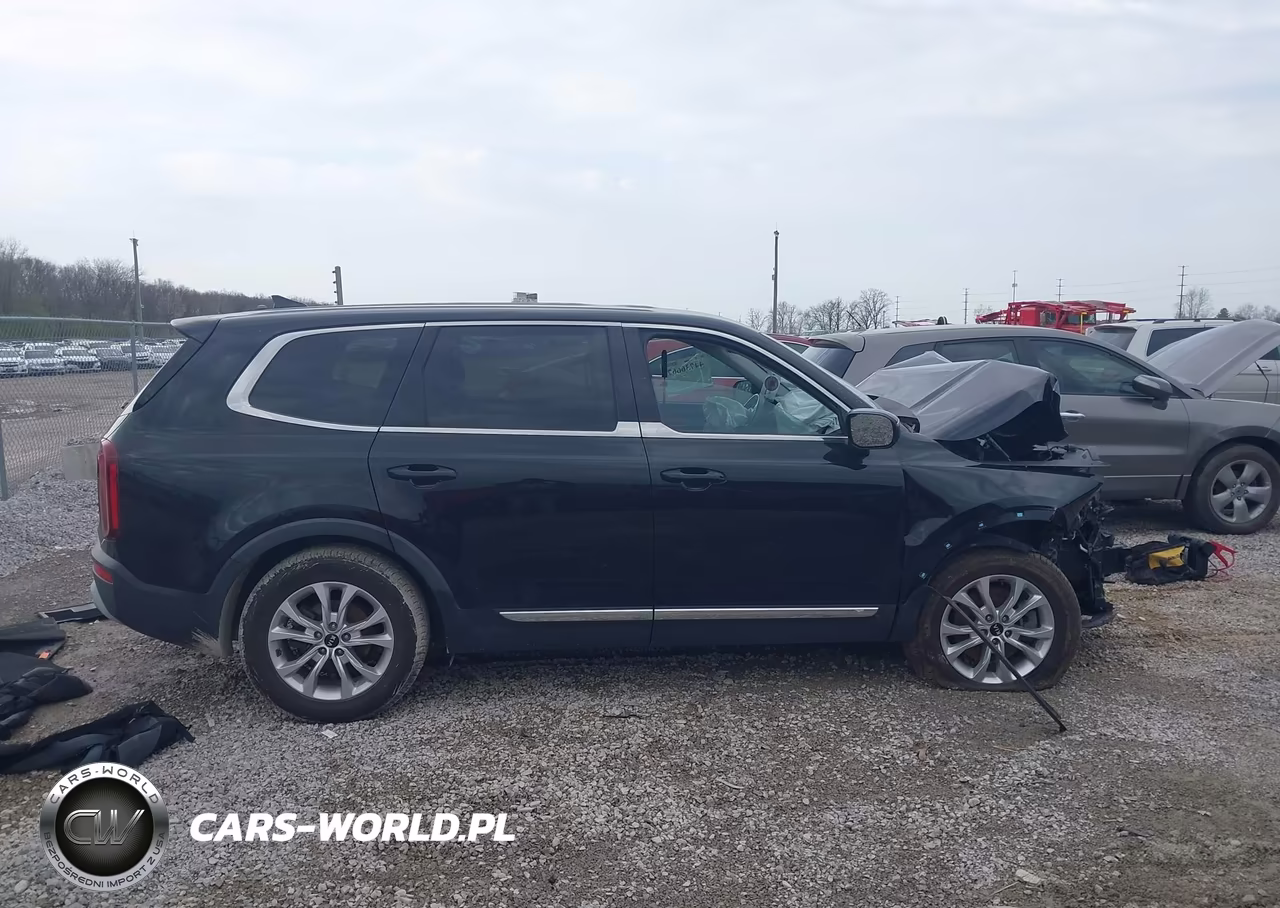 2020 Kia Telluride Lx VIN:5XYP24HCXLG068836 - 13