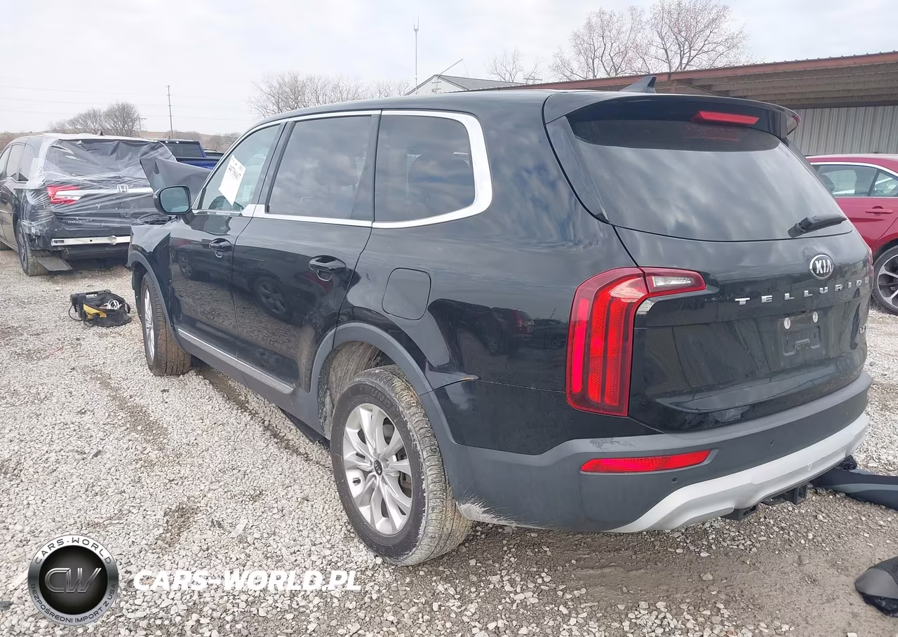 2020 Kia Telluride Lx VIN:5XYP24HCXLG068836 - 3