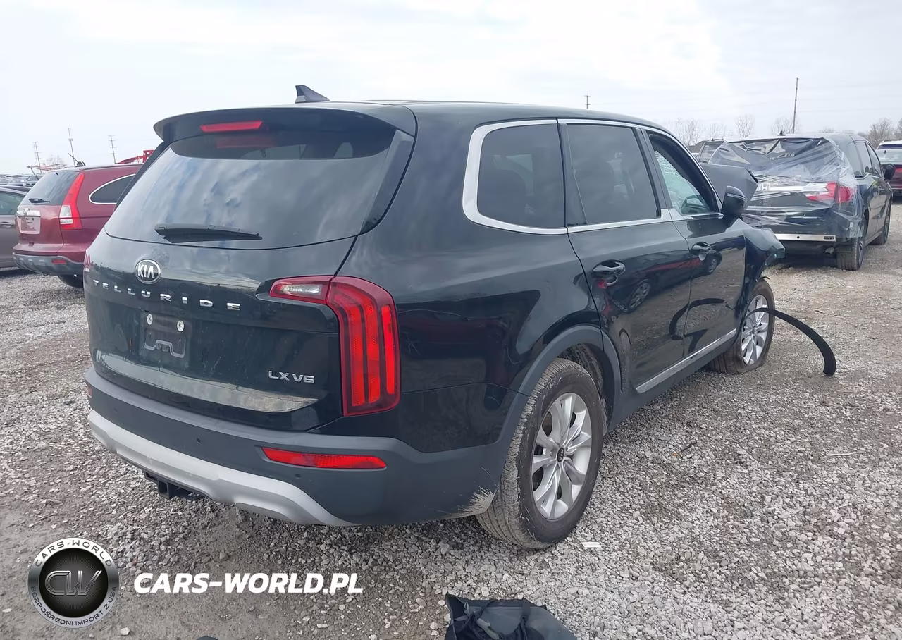 2020 Kia Telluride Lx VIN:5XYP24HCXLG068836 - 4