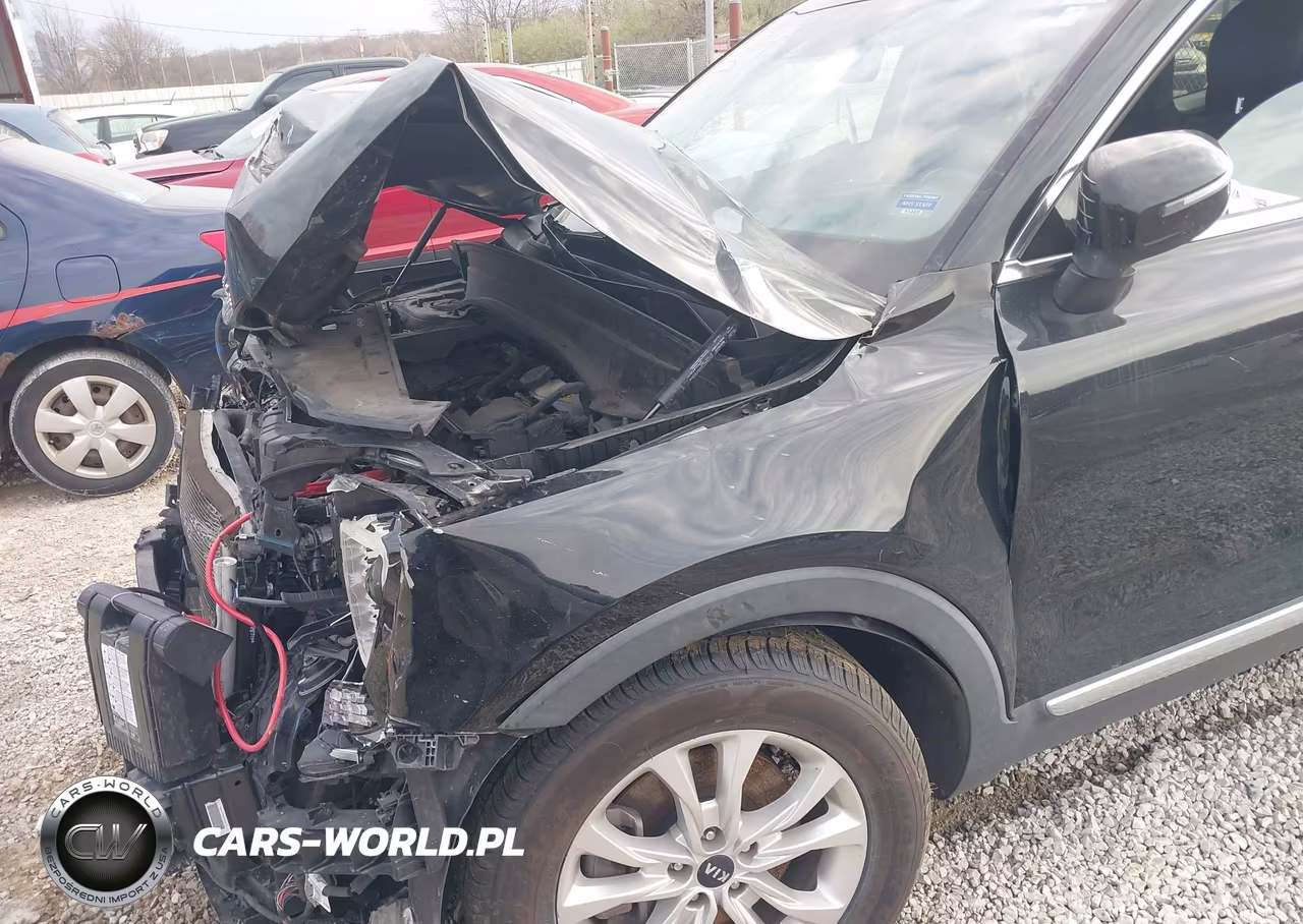 2020 Kia Telluride Lx VIN:5XYP24HCXLG068836 - 6