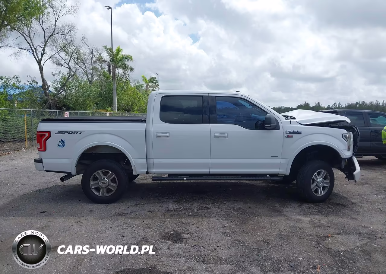2016 Ford F-150 Xlt VIN:1FTEW1CP9GKF02023 - 13