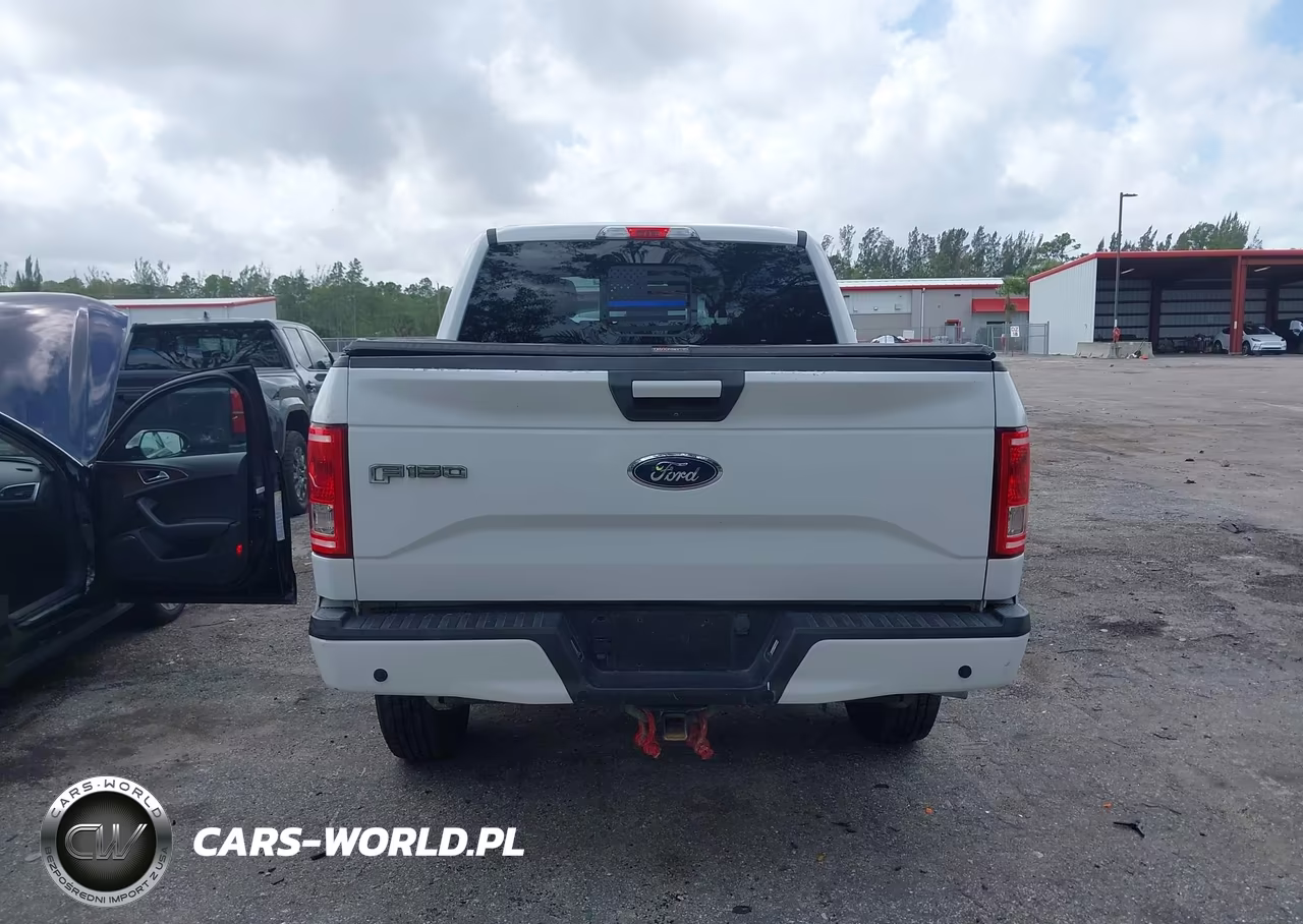 2016 Ford F-150 Xlt VIN:1FTEW1CP9GKF02023 - 16