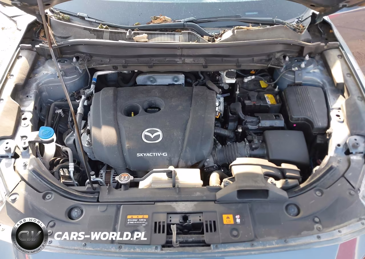 2022 Mazda Cx-5 2.5 S Carbon Edition VIN:JM3KFBCM8N0625262 - 10