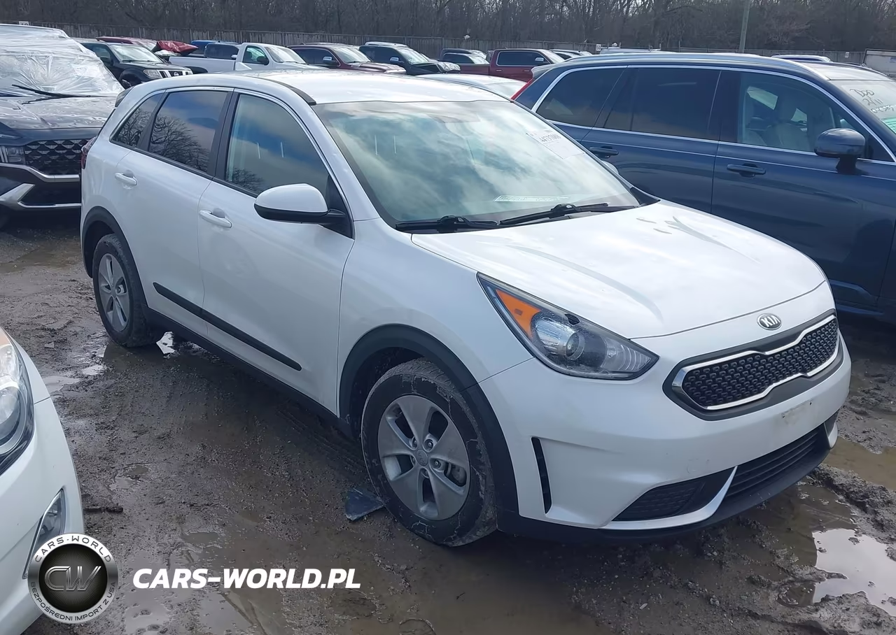 2019 Kia Niro Fe
