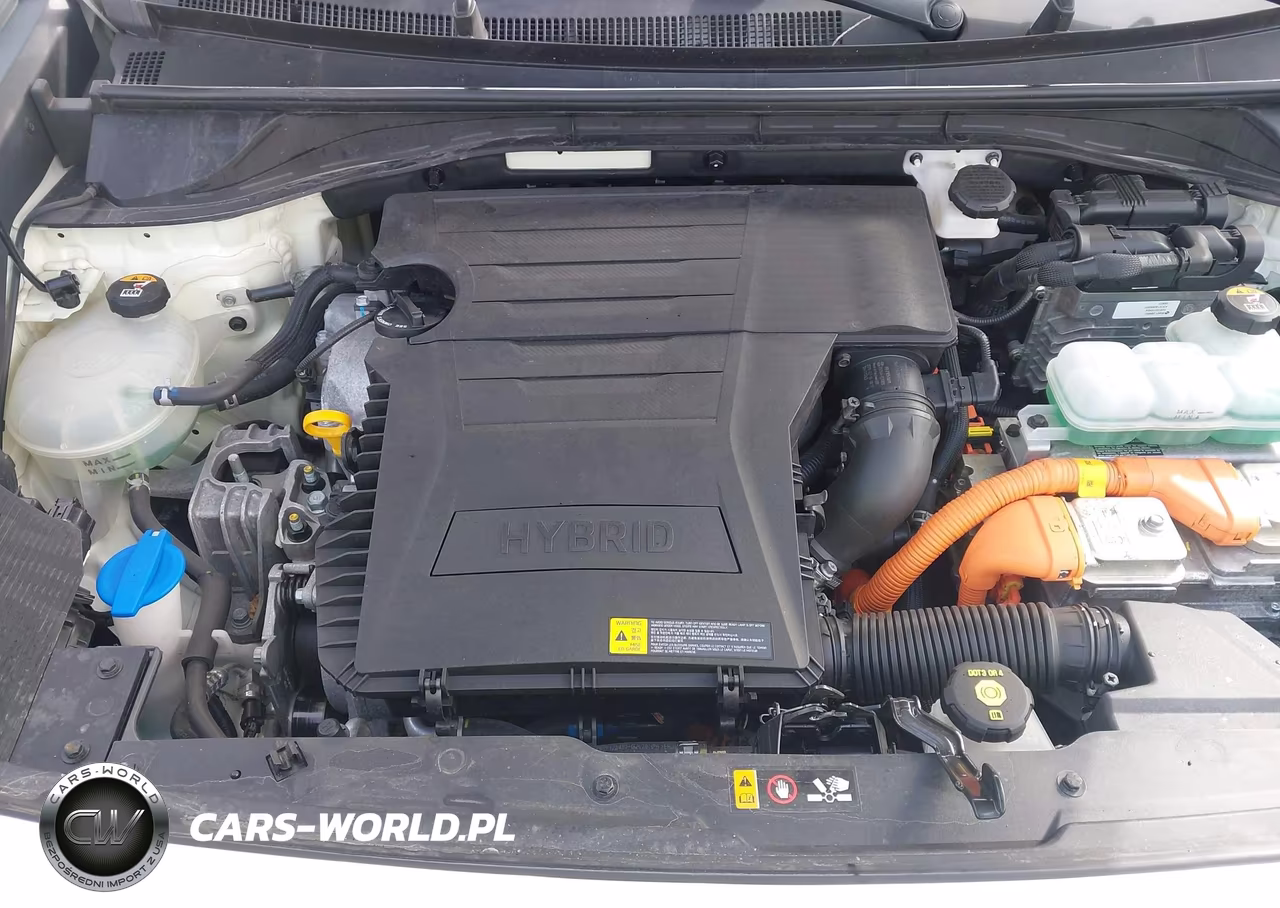 2019 Kia Niro Fe VIN:KNDCB3LC2K5338231 - 10