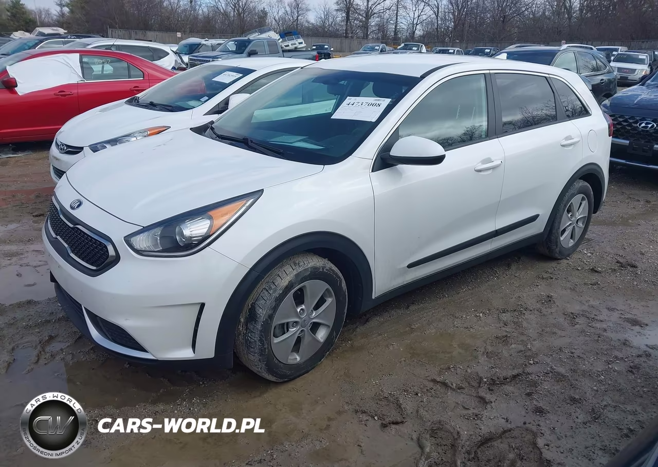 2019 Kia Niro Fe VIN:KNDCB3LC2K5338231 - 2
