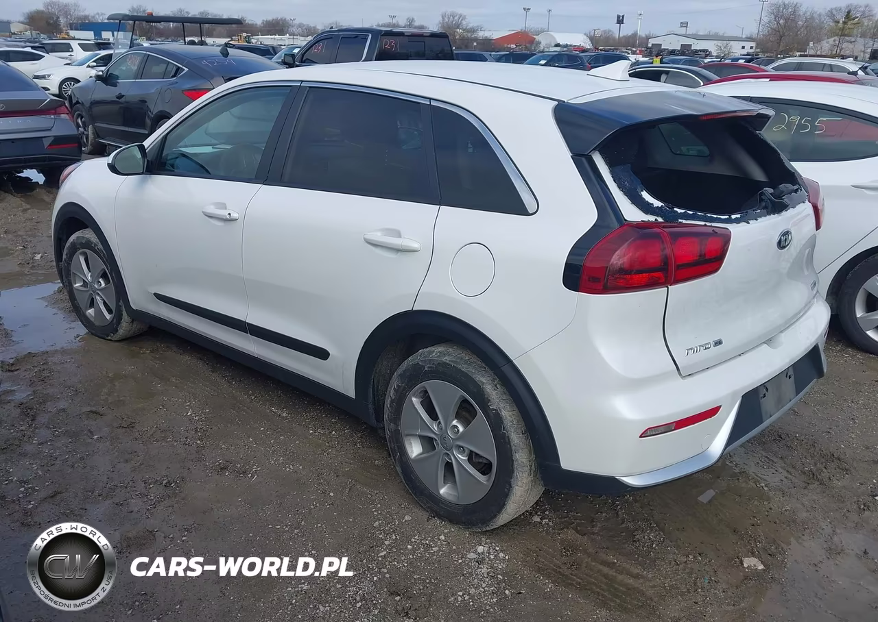 2019 Kia Niro Fe VIN:KNDCB3LC2K5338231 - 3